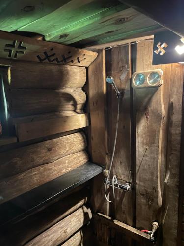 奥格雷Pirtiņa的浴室设有带淋浴的木墙