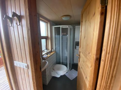 海拉Borgarbæli的一间带卫生间和淋浴的小浴室