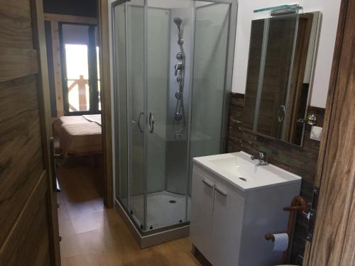 霍约斯德尔埃斯皮诺Cara norte de Gredos的一间带玻璃淋浴和水槽的浴室