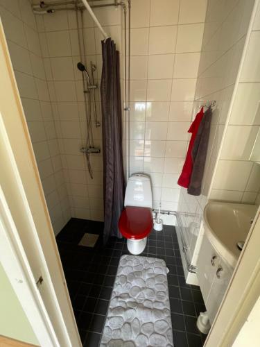 FurudalProjekt Schwedenalm的一间设有红色卫生间和浴缸的小浴室