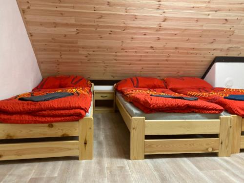 特罗亚诺维采Chata v Beskydech Trojanovice的木墙客房 - 带两张单人床