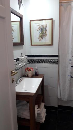 布宜诺斯艾利斯TANGO GUAPO APART的浴室配有白色水槽和淋浴。