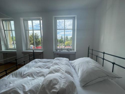 布雷根茨Apartments am Bodensee的带3扇窗户的客房内的一张白色床