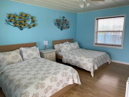 基拉戈Snappers Key Largo的一间卧室设有两张床、一个窗口和蓝色的墙壁。
