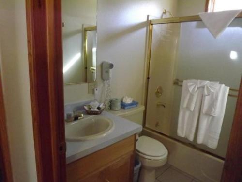 六月湖Rr-june Lake Lodge的一间带水槽和卫生间的浴室