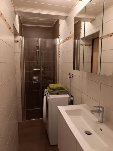 格拉茨Ferienwohnung Christa的一间带水槽和淋浴的浴室