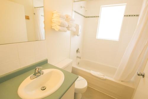 镭温泉山地温泉汽车旅馆的一间带水槽和卫生间的浴室以及窗户。