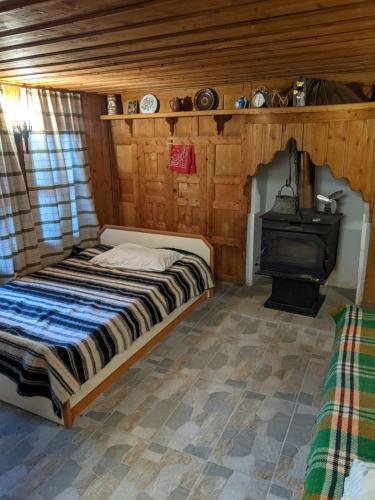 泽拉夫纳Momka's house的一间卧室配有一张床和一个燃木火炉