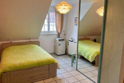 埃尔施泰因Le papillon,Logement cosy en Alsace的一间小卧室,配有两张床和镜子