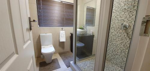 布隆方丹Mountain Gem的一间带卫生间和玻璃淋浴间的浴室