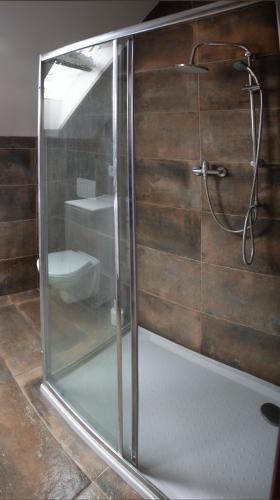 拉贝河畔利萨V sadu的一间带卫生间的浴室内的玻璃淋浴间