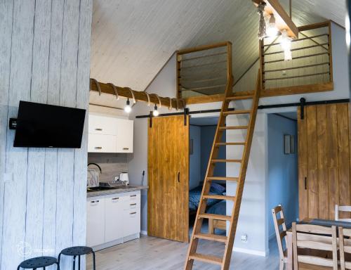 下乌斯奇基BiesCzadowa Dolina的带电视的小厨房内的一张高架床