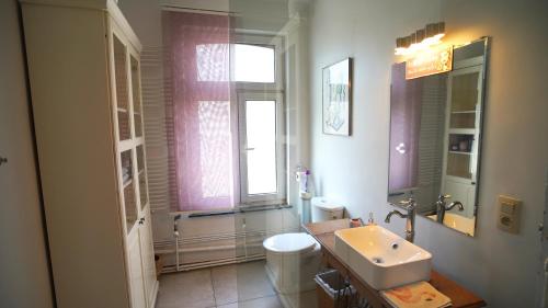 布鲁塞尔Rétro Studio的一间带水槽和卫生间的浴室以及窗户。