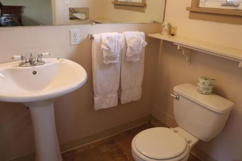 埃斯蒂斯帕克Olympus Lodge的浴室配有白色水槽和卫生间。