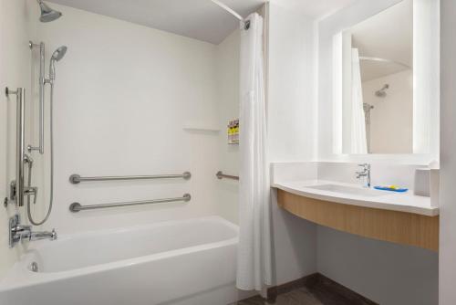 邓弗里斯Holiday Inn Express Dumfries-Quantico, an IHG Hotel的带浴缸、水槽和淋浴的浴室