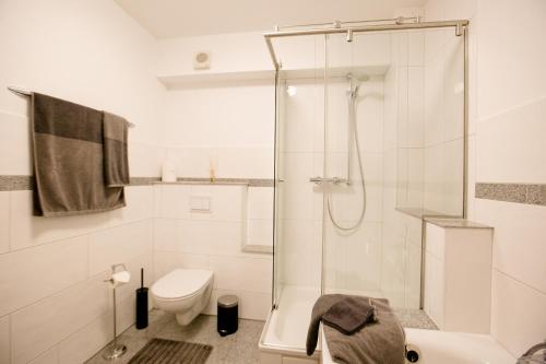 锡格堡bonquartier - groß & stylisch - zentral & komfortabel的带淋浴和卫生间的白色浴室
