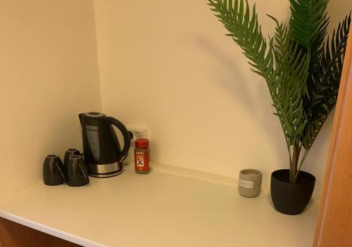 SøllestedCamp Femern Bælt的咖啡壶和植物的柜台