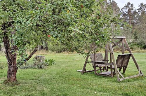 科尔波Solvillan的两把椅子坐在苹果树下秋千上