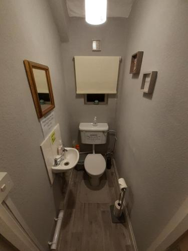 雷丁Caversham Lodge的一间带卫生间和水槽的小浴室