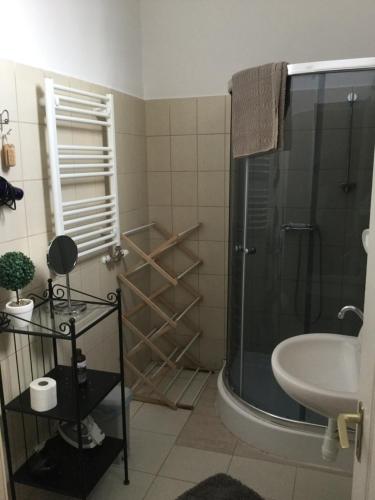 埃格尔巴齐利卡文德哈兹旅馆的带淋浴和盥洗盆的浴室