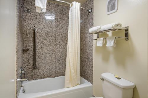 阿宾顿阿尔潘尼汽车旅馆的带淋浴和卫生间的浴室