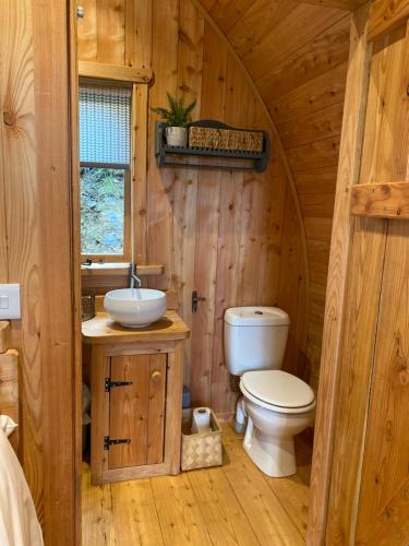 马汉莱斯Hendre-Aur Glamping Pod的小木屋内的浴室设有卫生间和水槽。