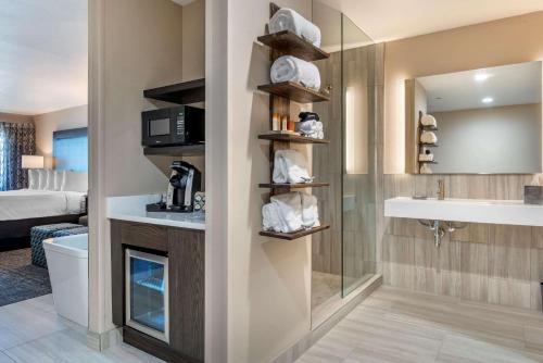 林肯市林肯金沙海滨套房贝斯特韦斯特优质酒店的一间带卫生间和水槽的浴室