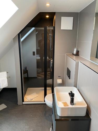 慕尼黑Munich Deluxe Hotel的带淋浴、盥洗盆和卫生间的浴室