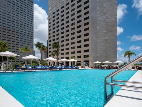 迈阿密洲际酒店内部或周边的泳池
