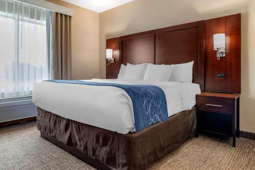 佩尔城Comfort Suites Pell City I-20 exit 158的一间设有大床和窗户的酒店客房