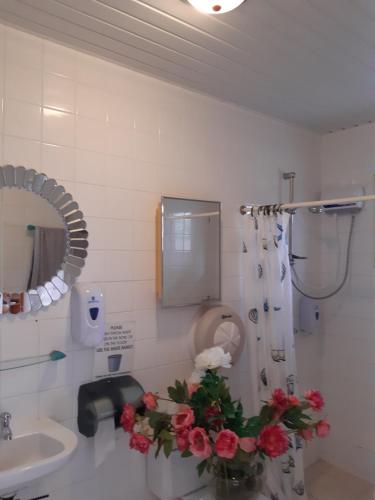 奥拉涅斯塔德Harmony Boutique Hotel & Apartments的一间带水槽、卫生间和鲜花的浴室