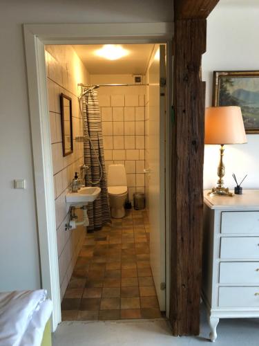 TjeleStorkereden的浴室配有卫生间、盥洗盆和淋浴。