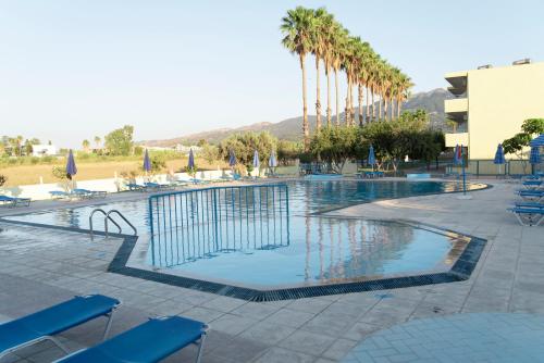 蒂加基蒂加基绿洲酒店的一个带蓝色椅子的游泳池,棕榈树