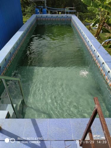吉登伯勒姆Krish Garden的泳池景泳池泳池中的一个绿色水游泳池