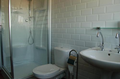 布鲁日布鲁日宝莲住宿加早餐旅馆的浴室配有卫生间、盥洗盆和淋浴。