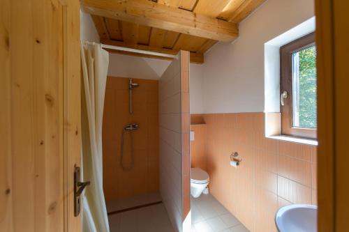 Horná LehotaFarma Javor的带淋浴和卫生间的浴室