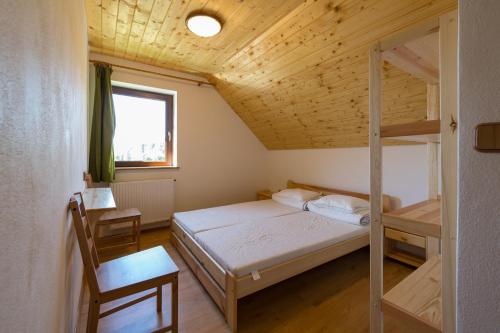 Horná LehotaFarma Javor的一间卧室配有一张双层床和梯子