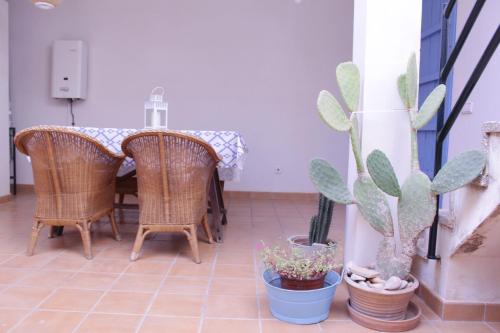 科洛尼亚圣霍尔迪Casa Marina的一间带桌椅和仙人掌的用餐室