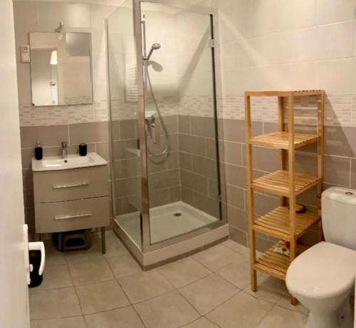 圣内克泰尔Le Courancon的带淋浴、卫生间和盥洗盆的浴室