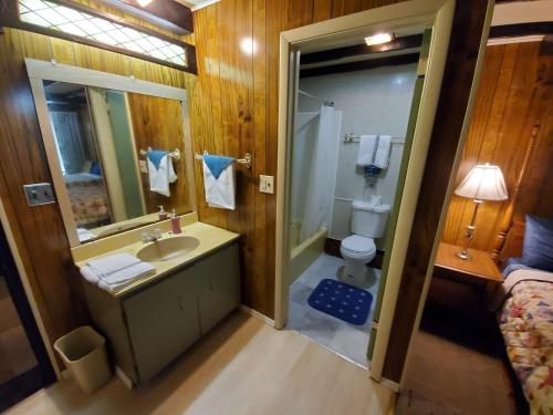 GouldsboroPocono mountain hotel and spa的一间带水槽、卫生间和镜子的浴室