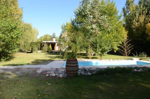 图努扬Casa de campo de piedra的游泳池旁的院子中的一棵树