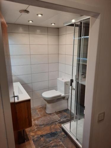 菲拉赫Appartement am Ossiachersee的浴室配有卫生间、盥洗盆和淋浴。