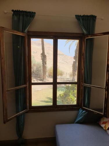 基布兹恩戈蒂הצימר של יהושע的享有棕榈树景致的窗户