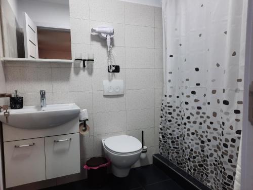 克利默内什蒂CASA GIA CALIMANESTI的浴室配有卫生间、盥洗盆和淋浴。