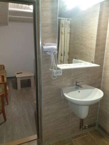 布朗Vila Brandusa的一间带水槽和镜子的浴室