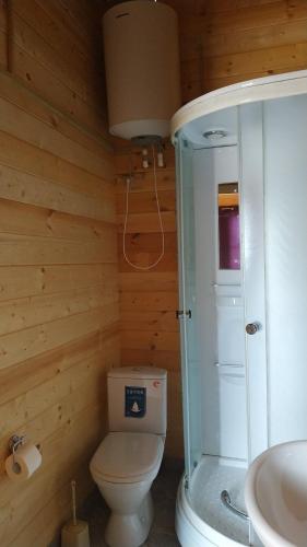 加格拉Lazurny的浴室配有卫生间、淋浴和盥洗盆。