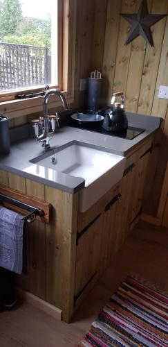 圣艾夫斯Stargazy Shepherds Hut的小屋内的厨房台面,配有水槽