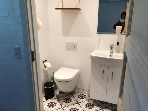 欧登塞Tøndegården 2 rooms apartment的一间带卫生间和水槽的小浴室