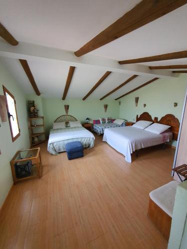 格拉纳达Casa de campo Padul的一间铺有木地板并配有两张床的大卧室