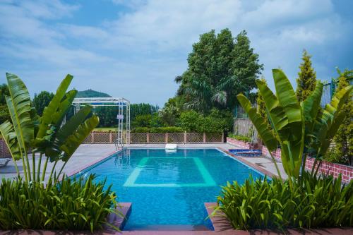 乌代浦Abha Farms and Resort的院子里种有植物的游泳池